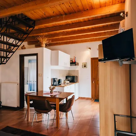 Michel Studios *