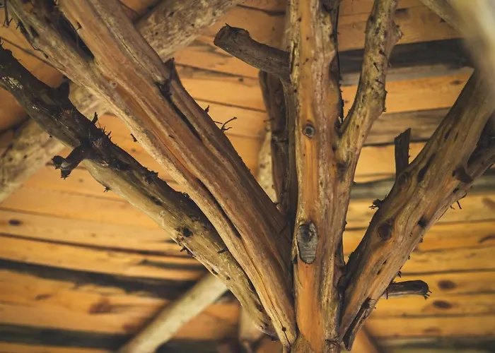 Michel Apartamento Kalavryta