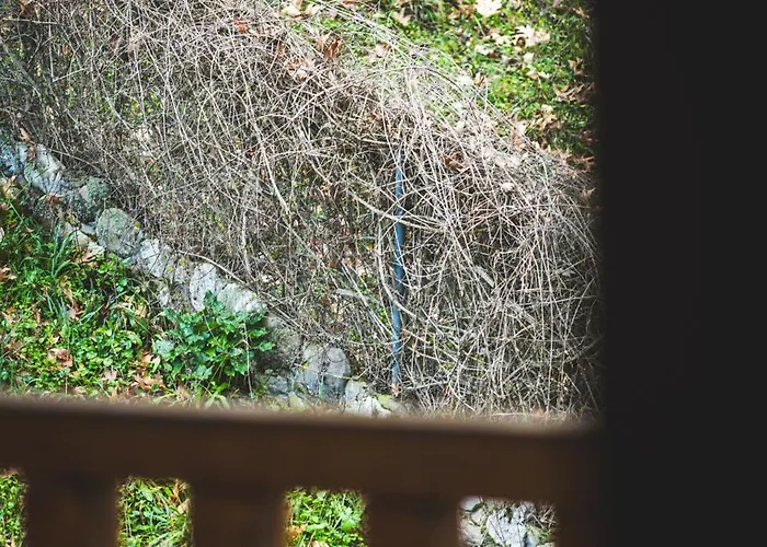 Apartamento Michel *